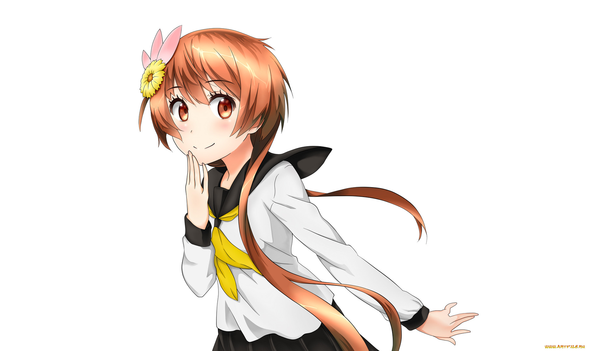 nisekoi, , , , 